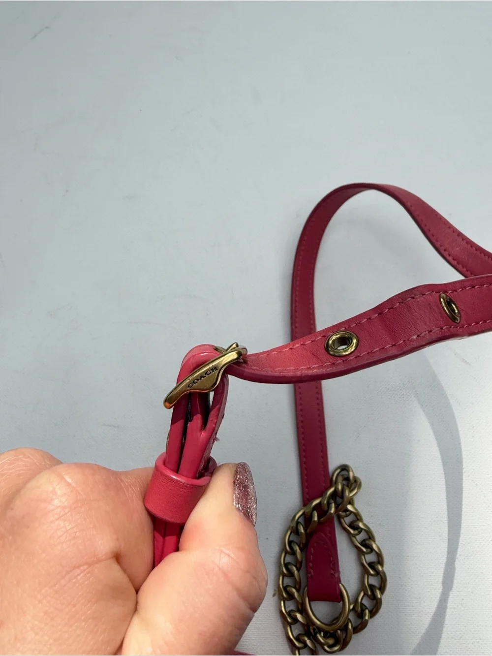 Coach Watermelon Camera Bag